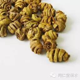 铁皮石斛 民间传说中的救命仙草
