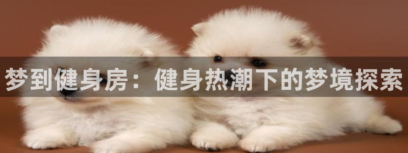 意昂2娱乐