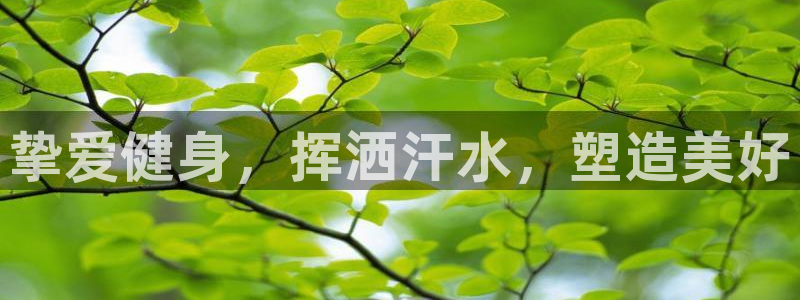 意昂2官方网站