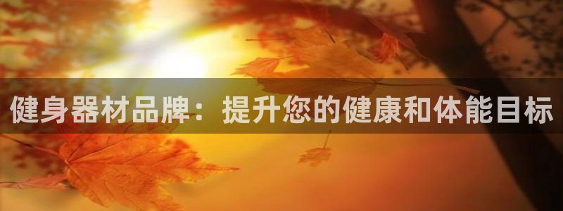 意昂2平台