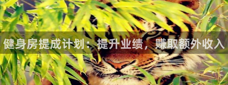 意昂2平台